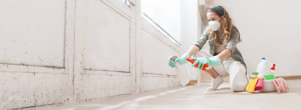 Best Basement Mold Removal  in Fowler, CA